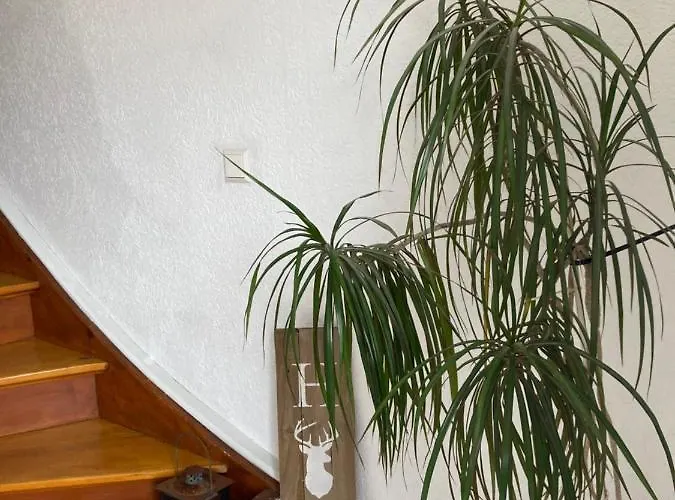 Ferienwohnung Petra